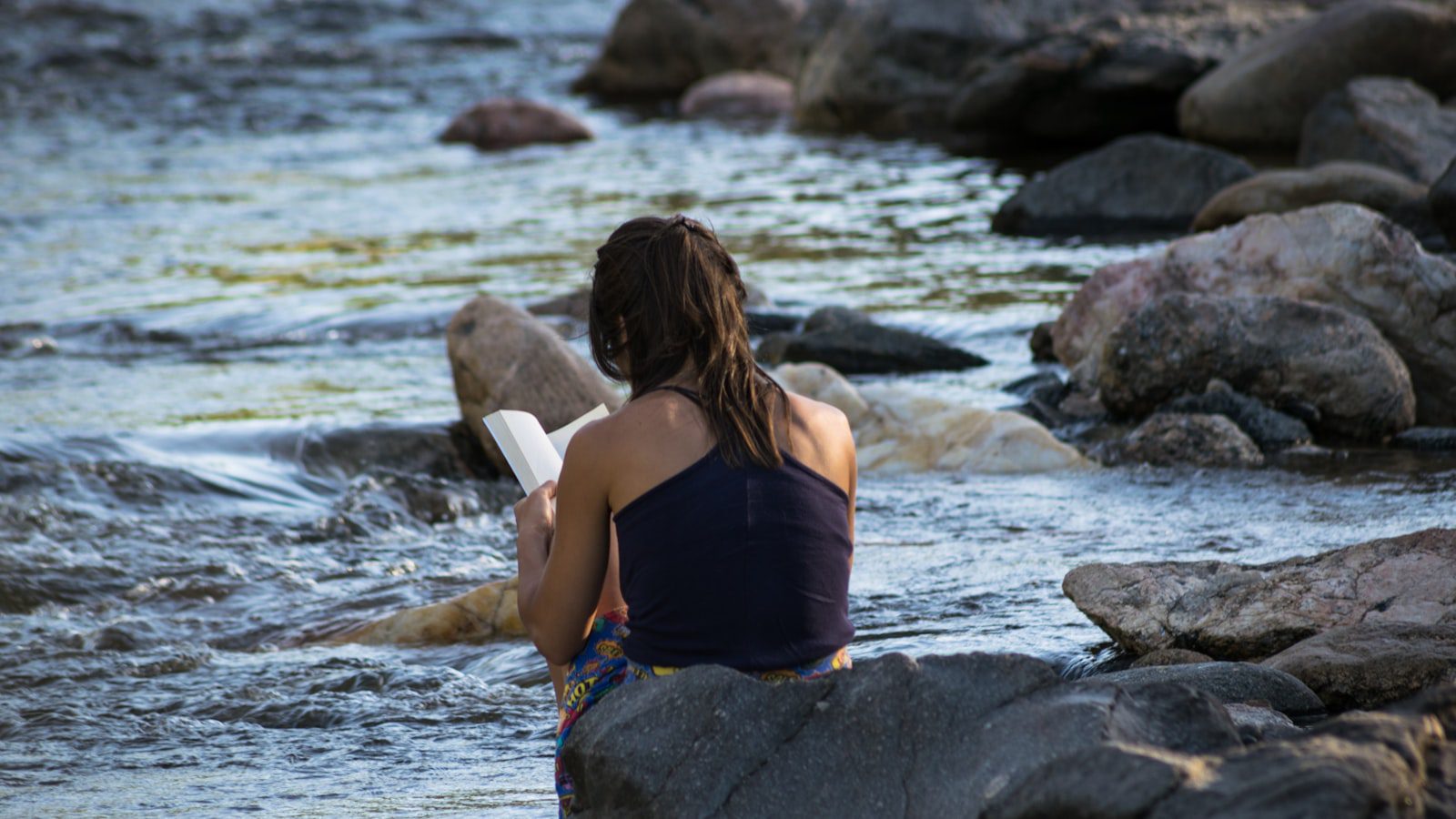 Experimenta la Serenidad y la Paz en LaFollette Park