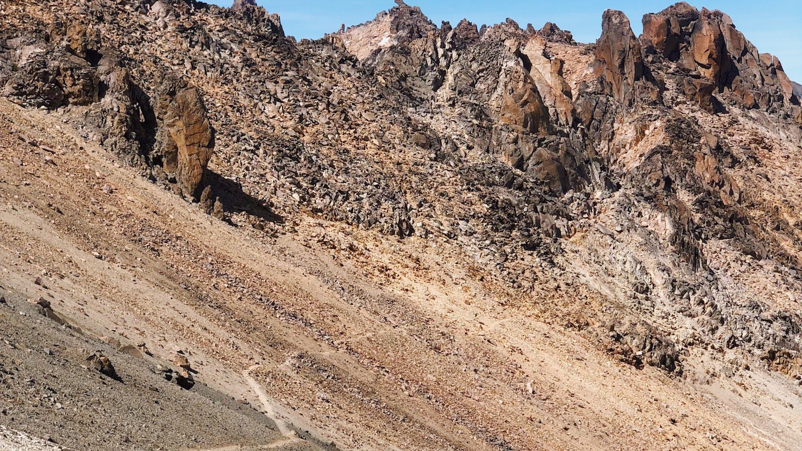 Un refugio para ⁢la ​diversidad de vida silvestre