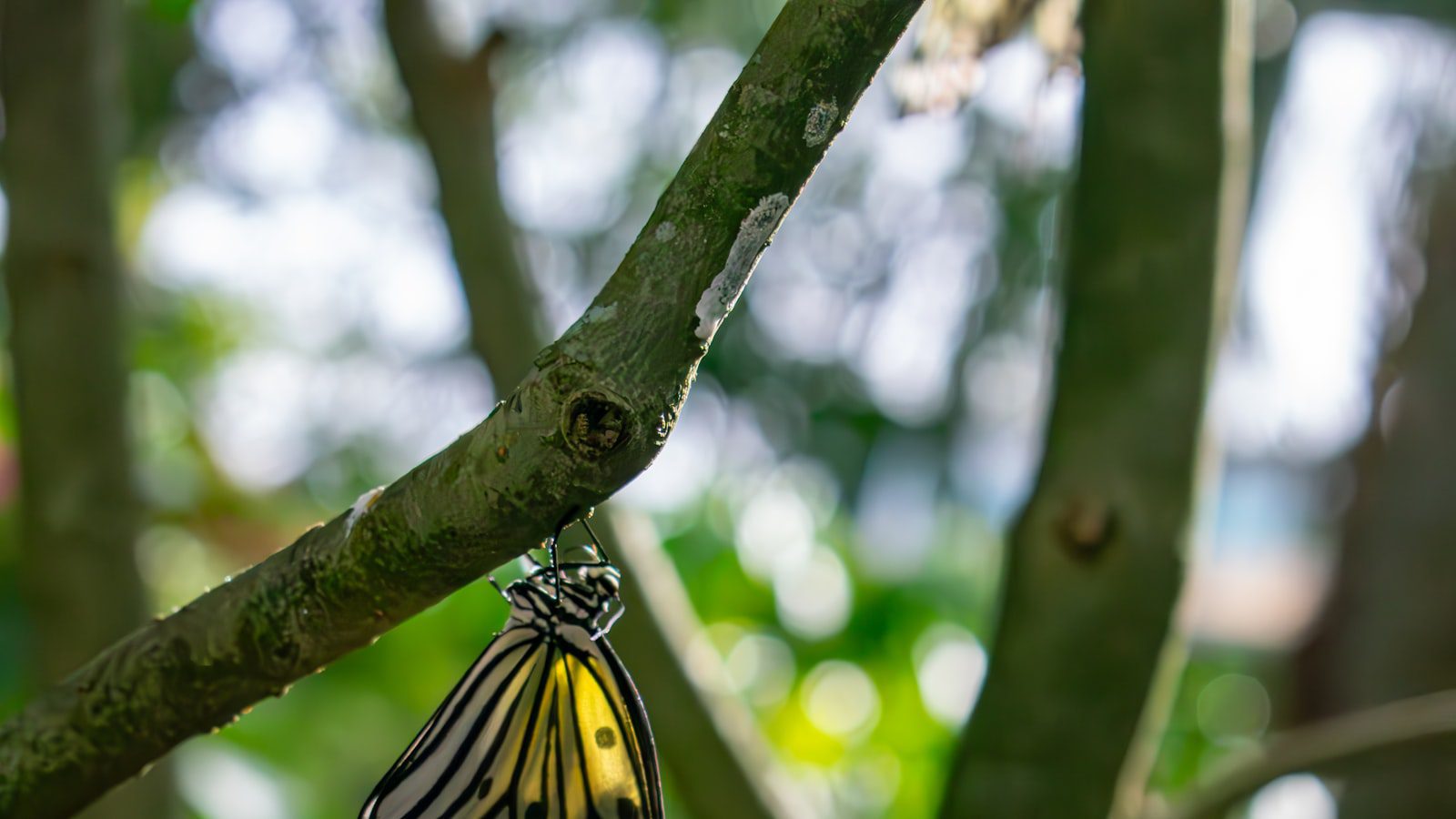 Maravillas naturales en Brandywine Creek State Park