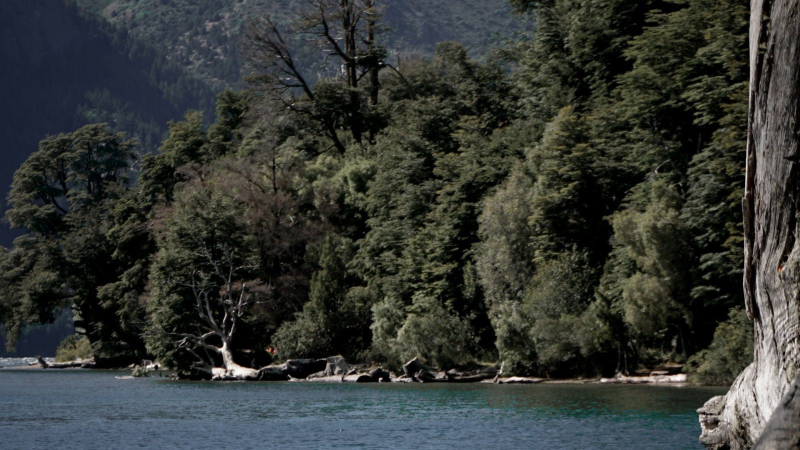 Caminatas Escénicas entre Formaciones de Roca Únicas