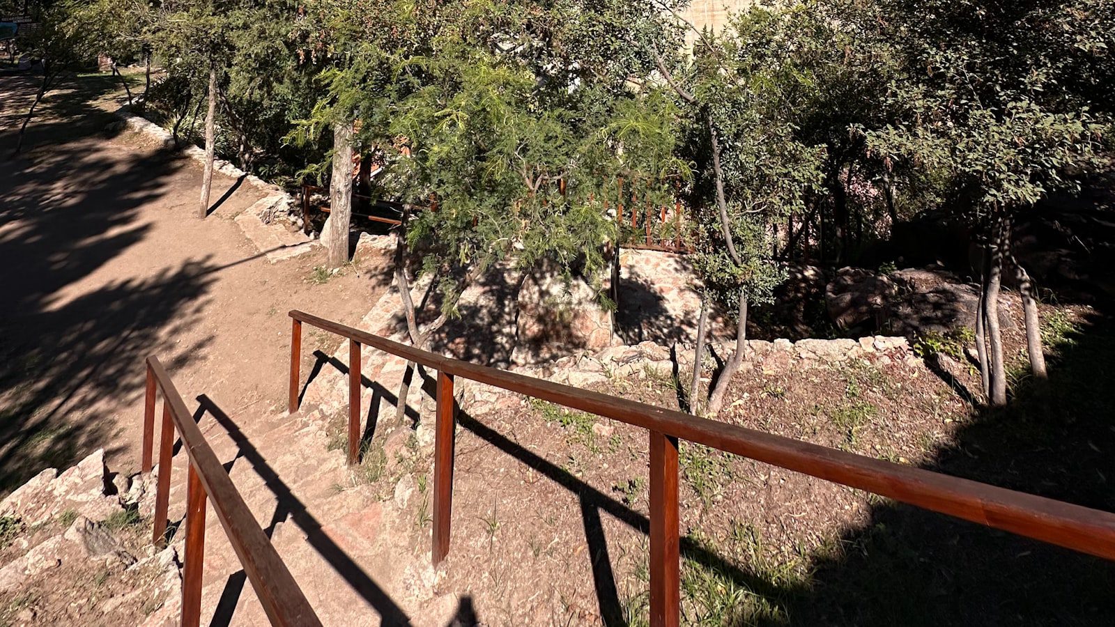 Senderos serpenteantes a ⁣través de bosques de pinos y robles