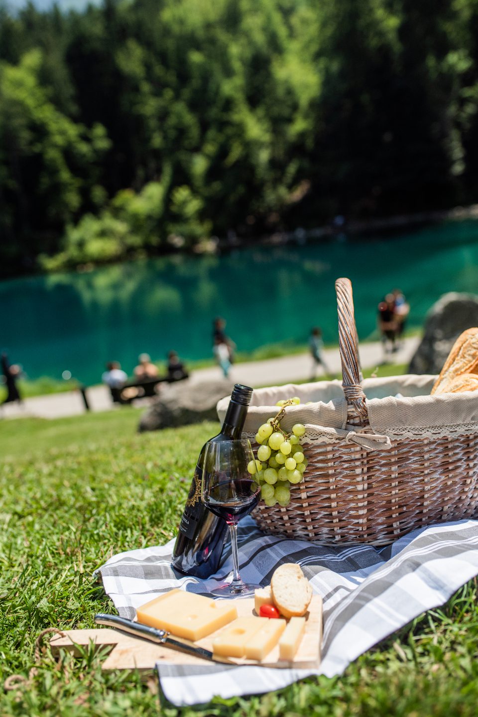 Disfruta de un día de picnic en ​familia