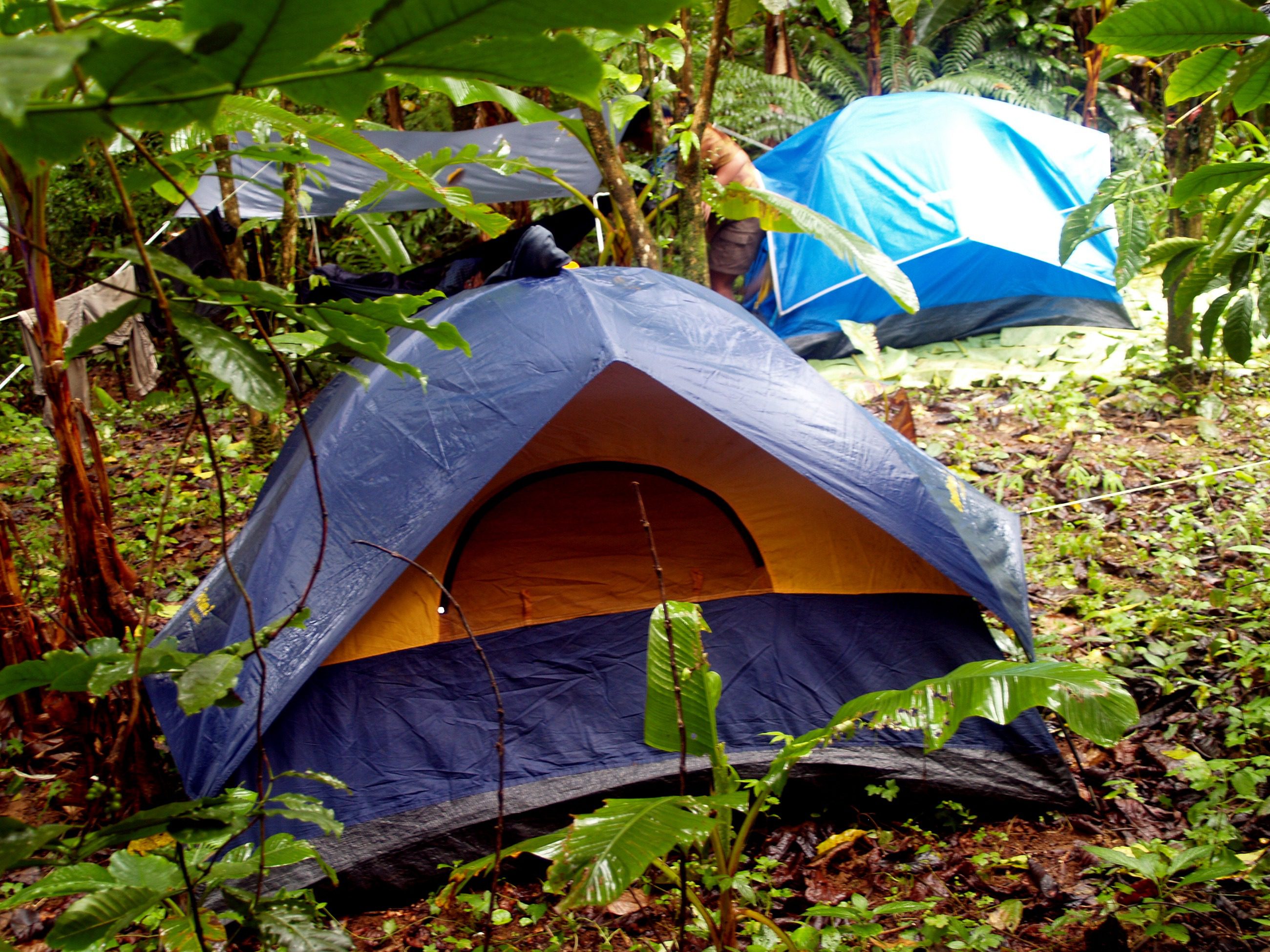 Acampar bajo un cielo estrellado